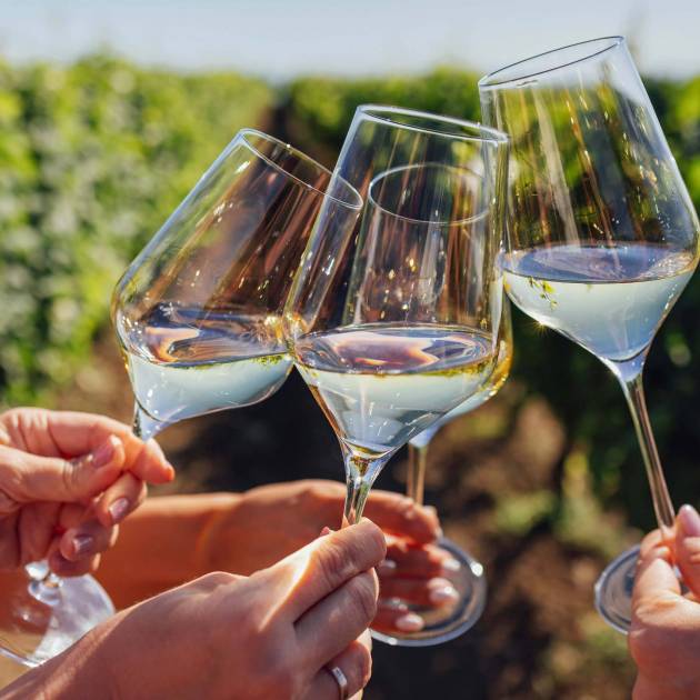 Candela de Arcos. Eventos, cultura, gastronomía, enoturismo